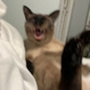 Meet your Posher, Bree